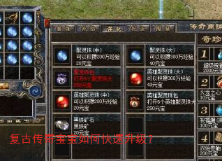 复古传奇宝宝如何快速升级? 复古传奇宝宝如何快速升级?