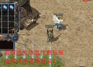 最新迷失热血传奇私服如何快速提升等级? 最新迷失热血传奇私服如何快速提升等级?